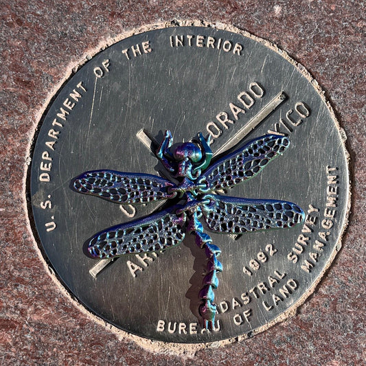 Articulated Dragonfly Flexi Trail Buddy