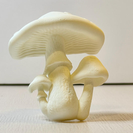 Spotted Mushroom Book Spine Hugger | Magnet