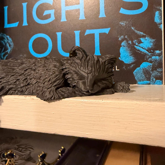 Sleeping Cat Perchling Shelf Sitter | Witch Familiar Library Decor | Bookish Pet