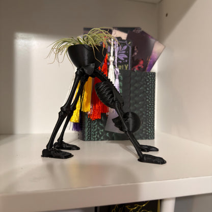 Gothic Skeleton Yoga Pose Air Plant Holder | Home Decor | Personalized Gifts | Planter | Desk Decor
