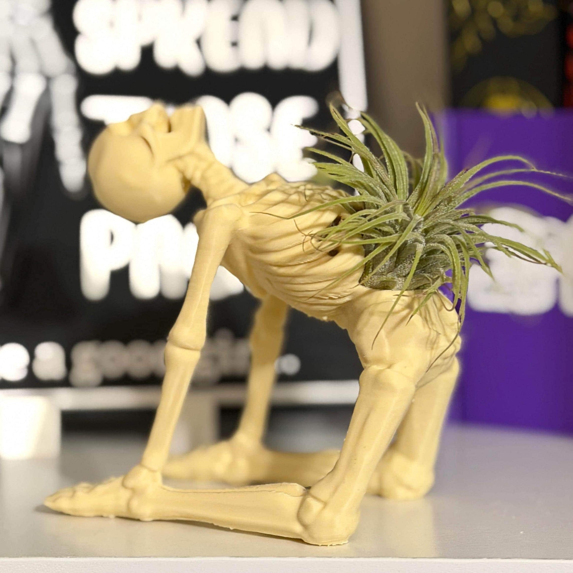 Gothic Skeleton Yoga Pose Air Plant Holder | Home Decor | Personalized Gifts | Planter | Desk Decor
