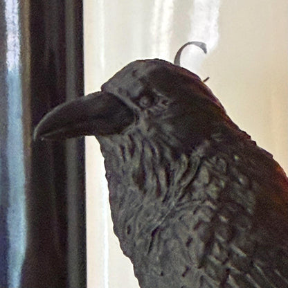 Raven on a Branch Bookshelf Decoration Spine Hugger