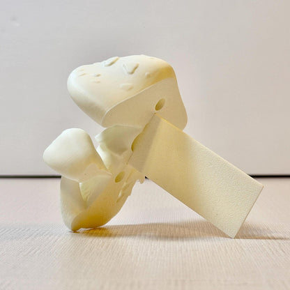 Spotted Mushroom Book Spine Hugger | Magnet