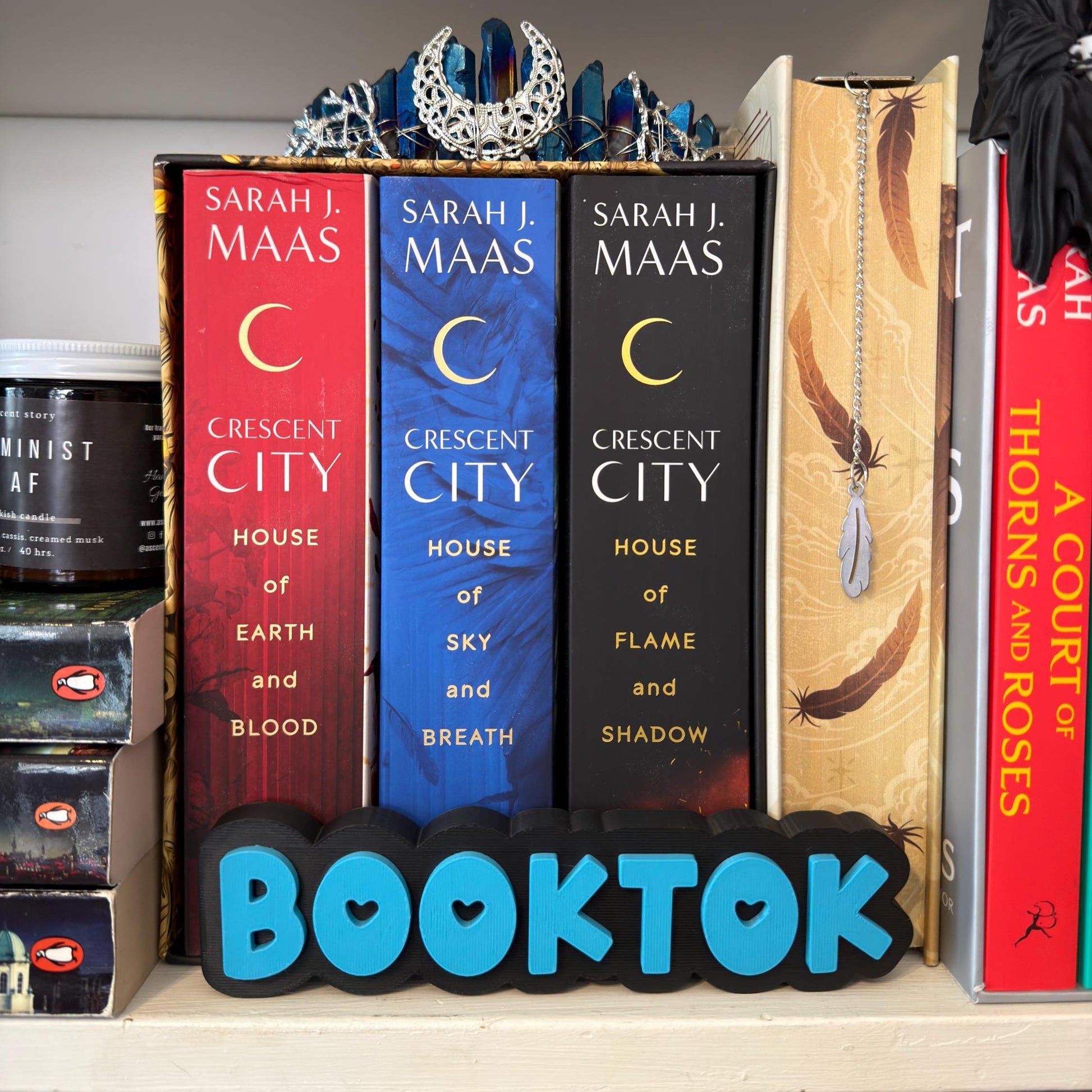 BookTok Bookshelf Sign