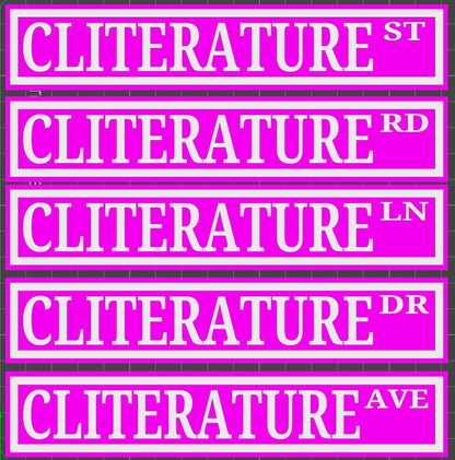 Cliterature Bookshelf Street Signs Bookcase Sign