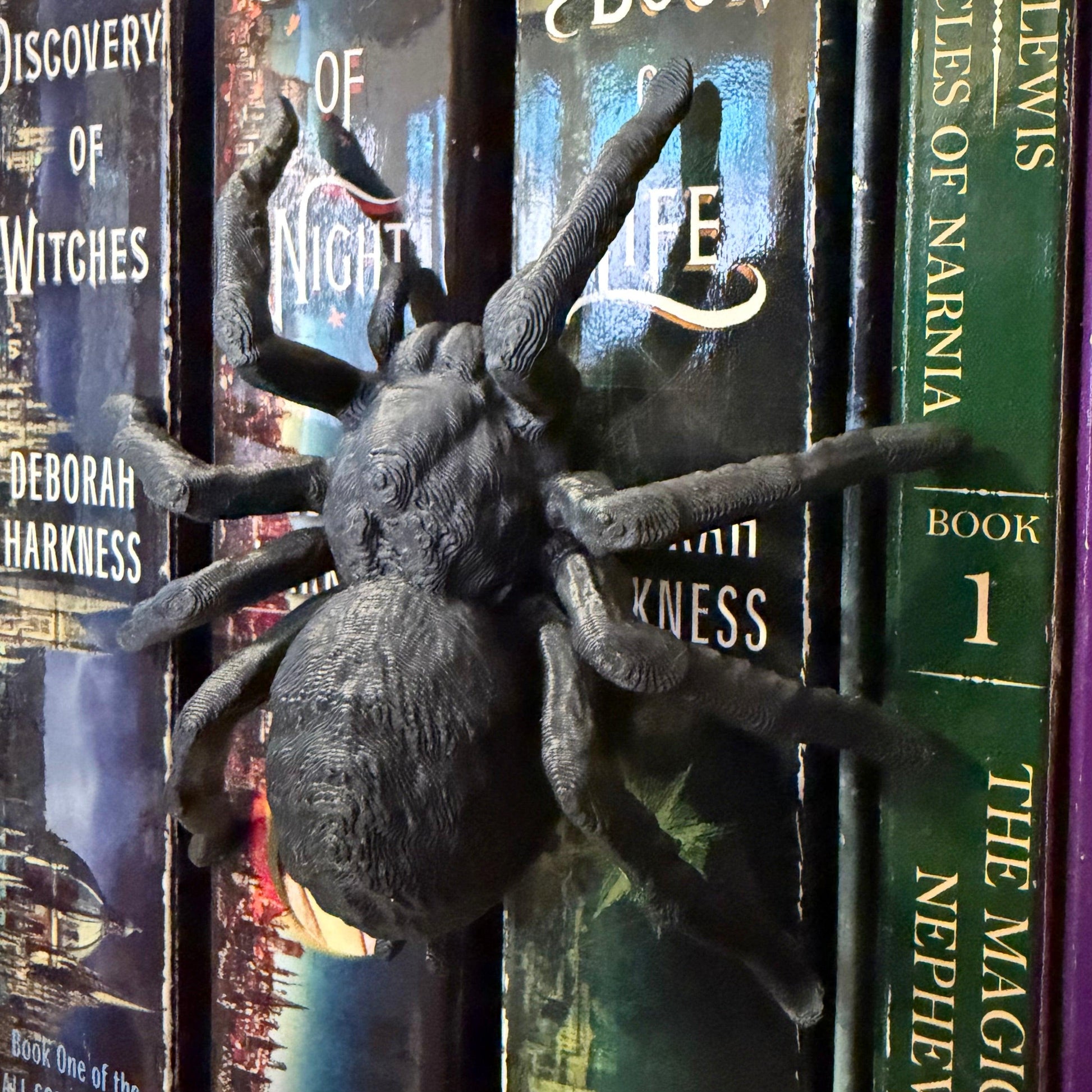 Gothic Tarantula Spider Book Spine Hugger
