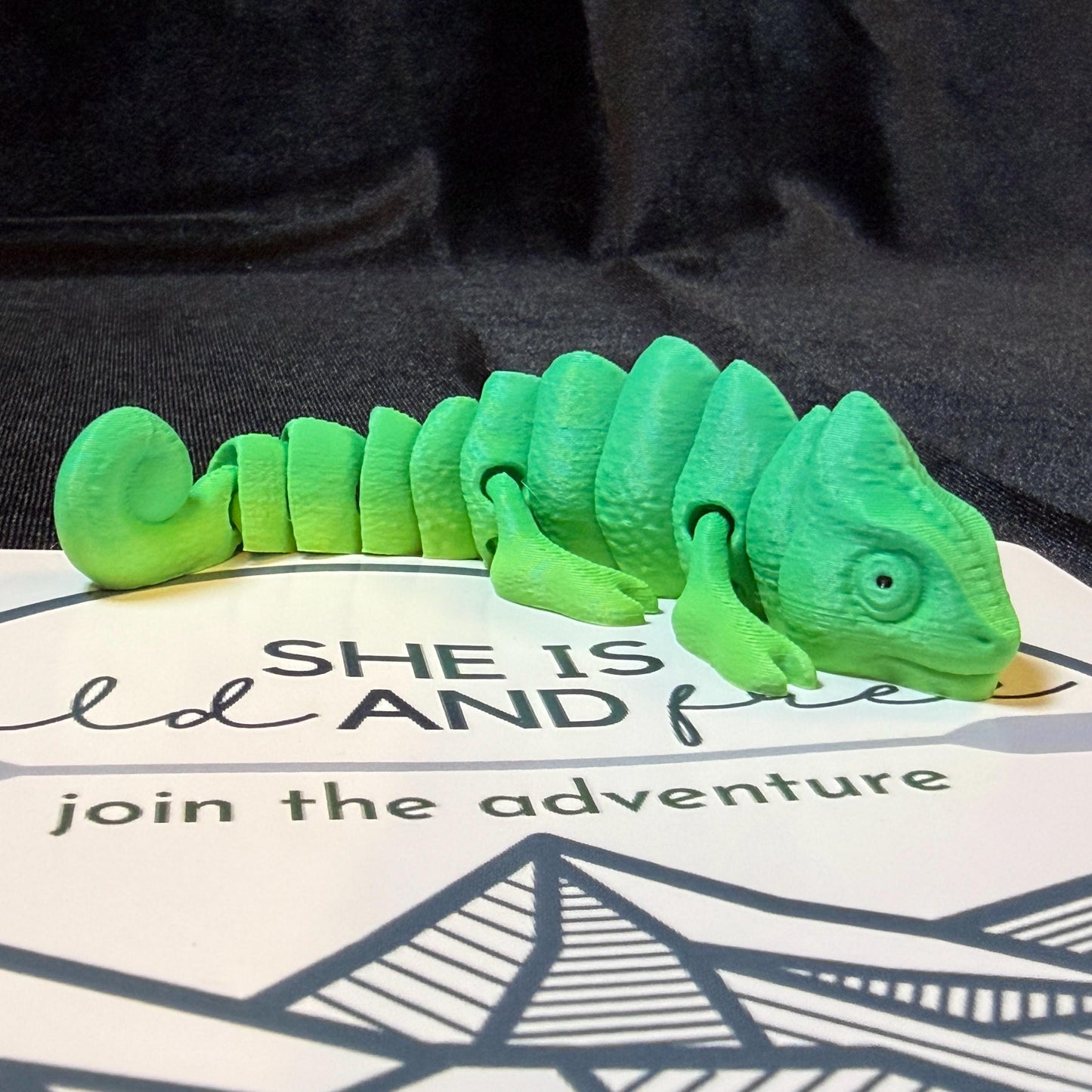 Articulated Chameleon Flexi Trail Buddy