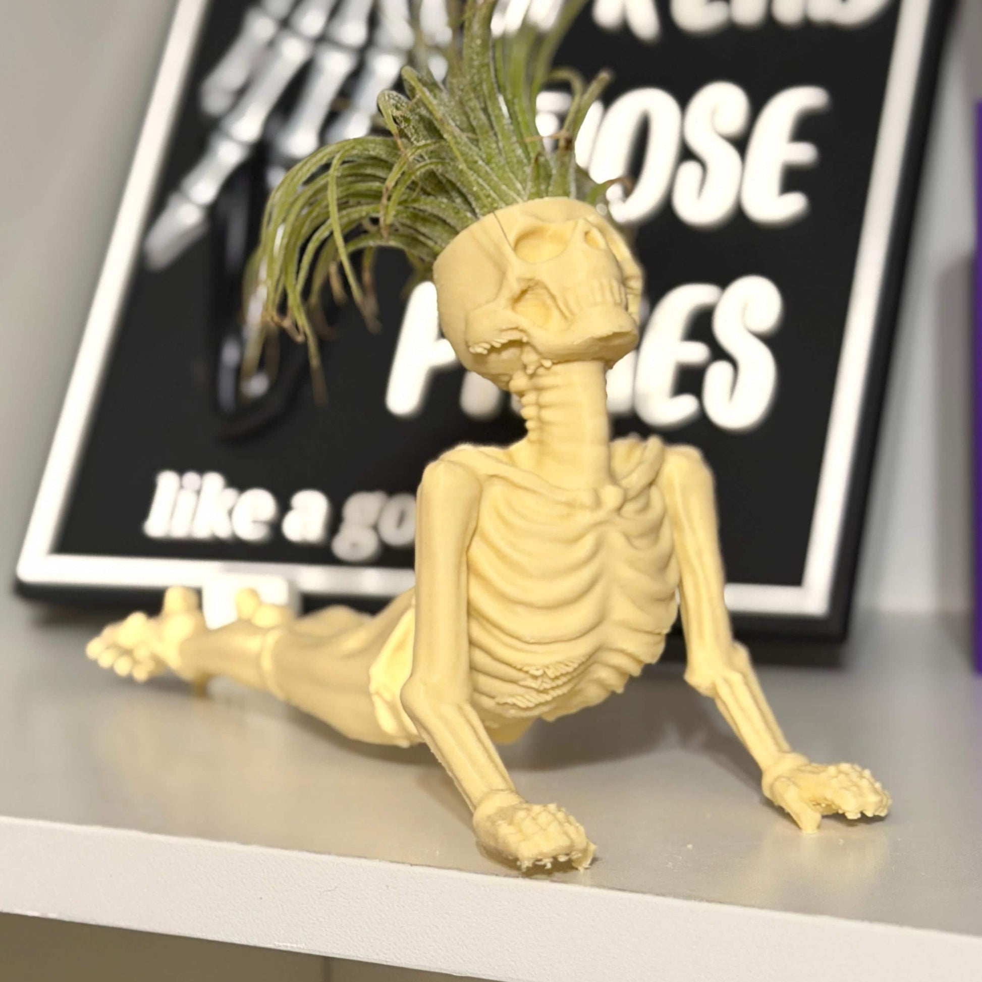 Gothic Skeleton Yoga Pose Air Plant Holder | Home Decor | Personalized Gifts | Planter | Desk Decor