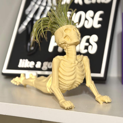 Gothic Skeleton Yoga Pose Air Plant Holder | Home Decor | Personalized Gifts | Planter | Desk Decor