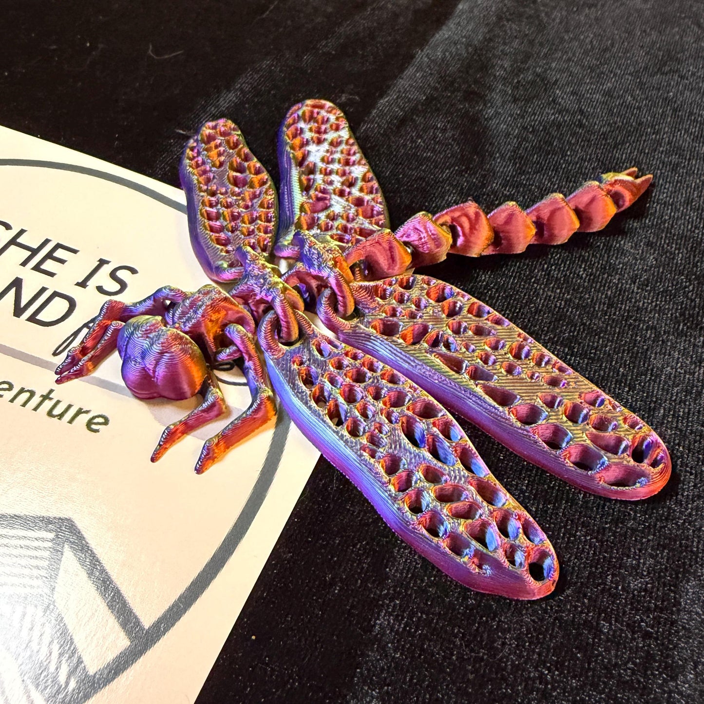 Articulated Dragonfly Flexi Trail Buddy