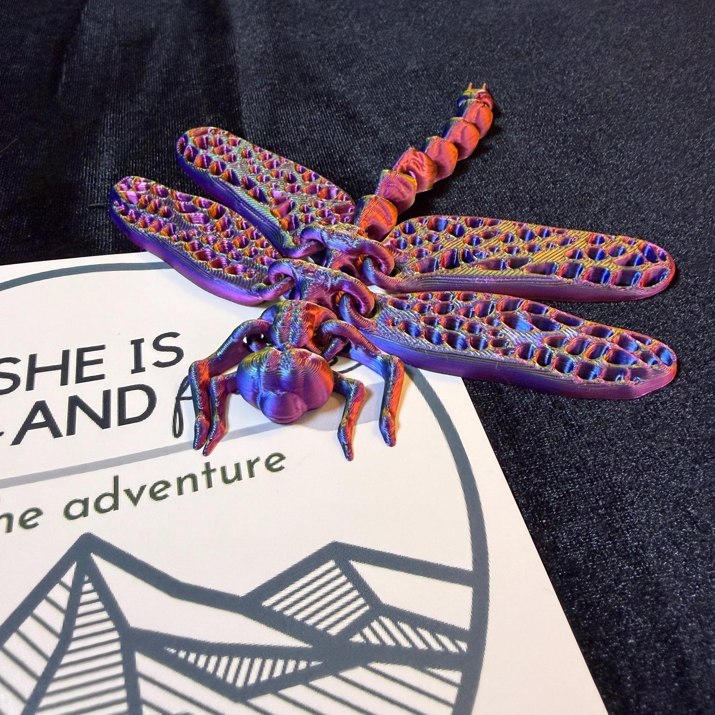 Articulated Dragonfly Flexi Trail Buddy