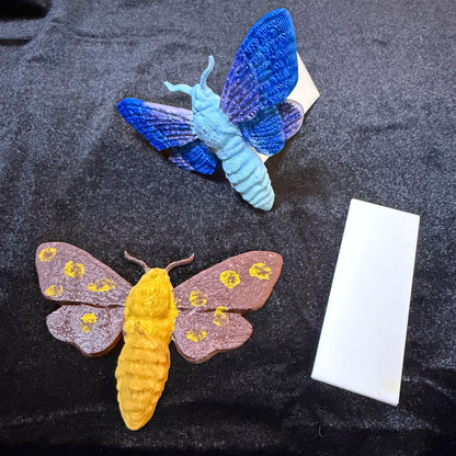 Moth Book Spine Hugger | Magnet