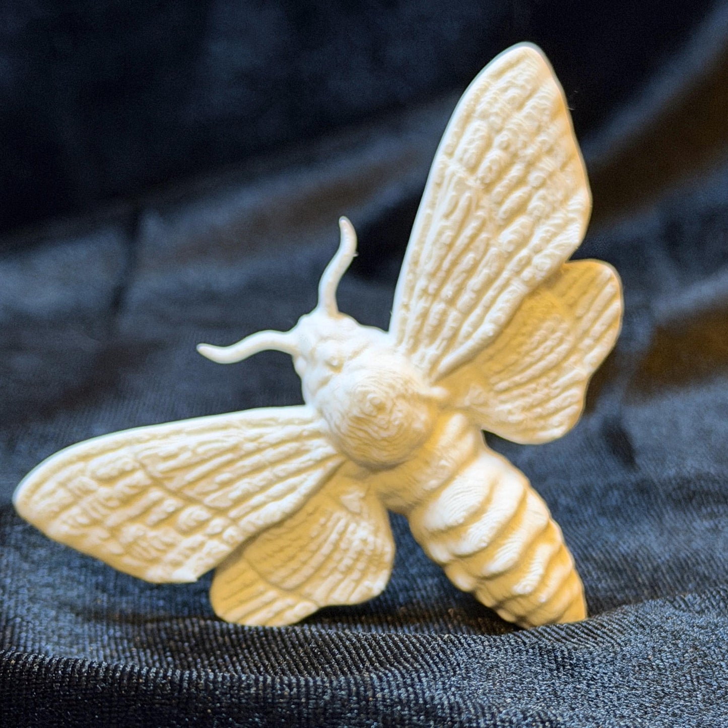 Moth Book Spine Hugger | Magnet