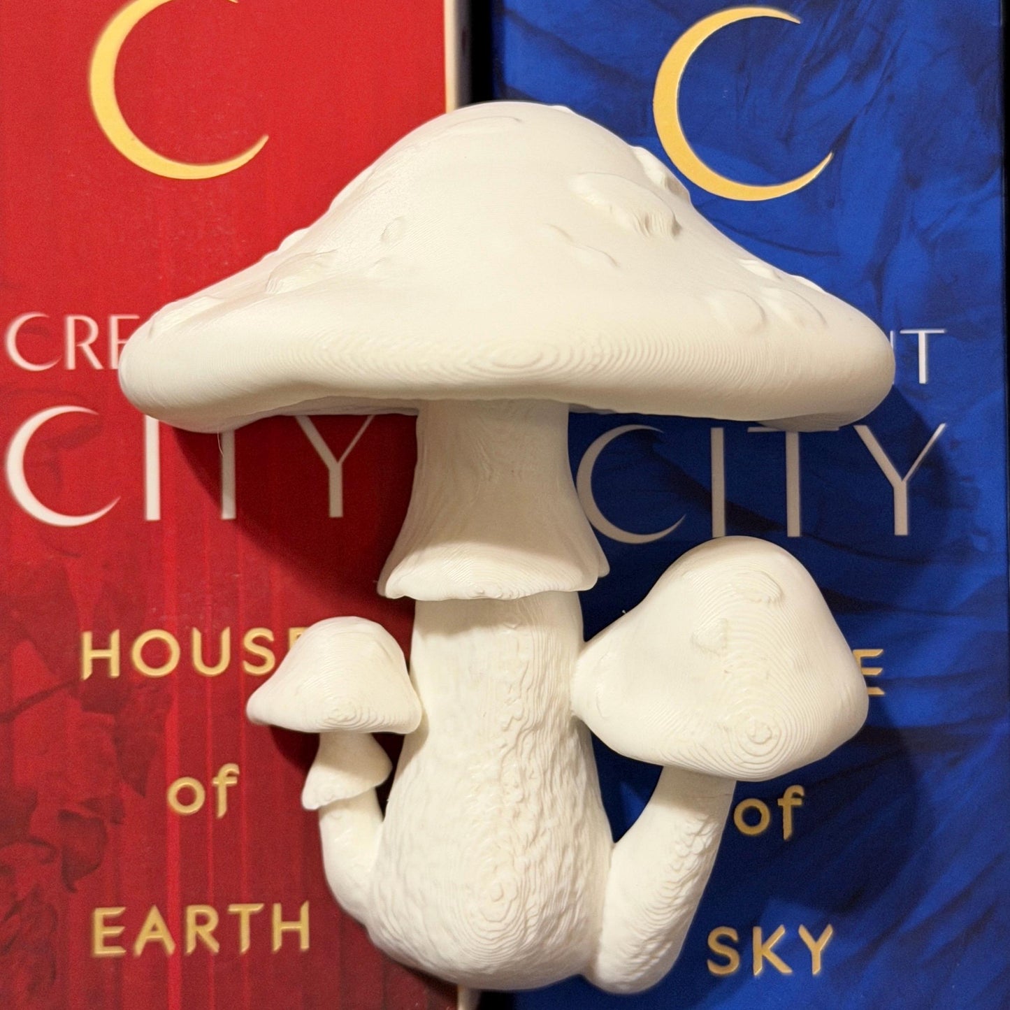 Spotted Mushroom Book Spine Hugger | Magnet