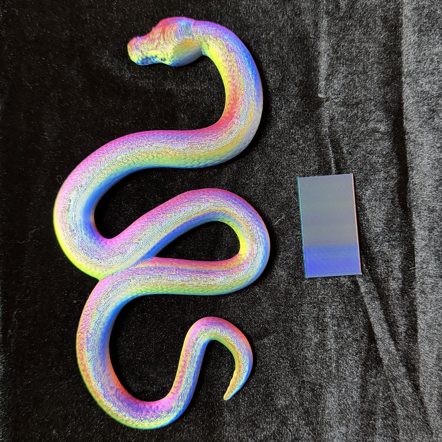 Coiled Snake Book Spine Hugger