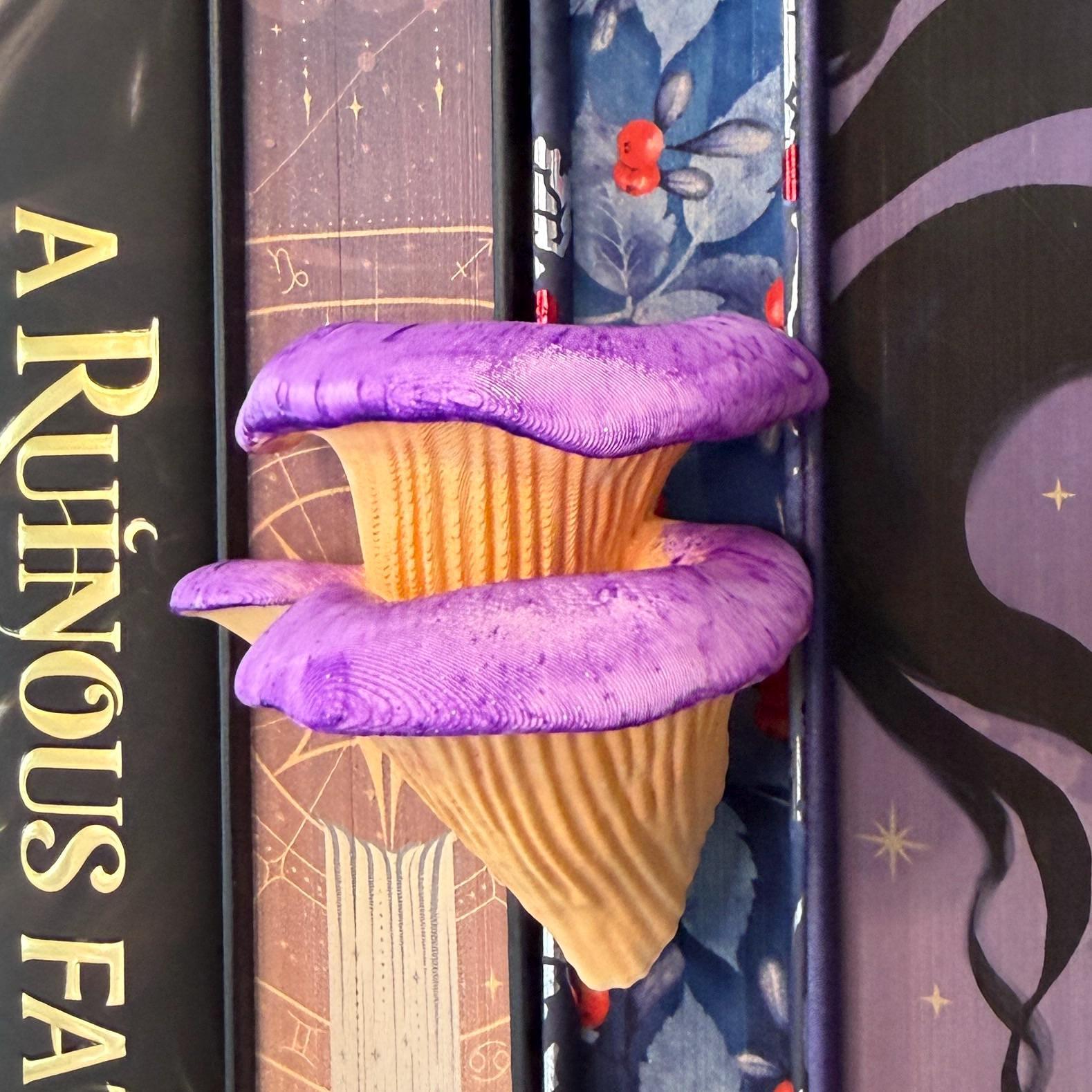 Oyster Mushroom Book Spine Hugger | Cottagecore Bookish Magnet | Fantasy Woodland Fungi Wall Decor