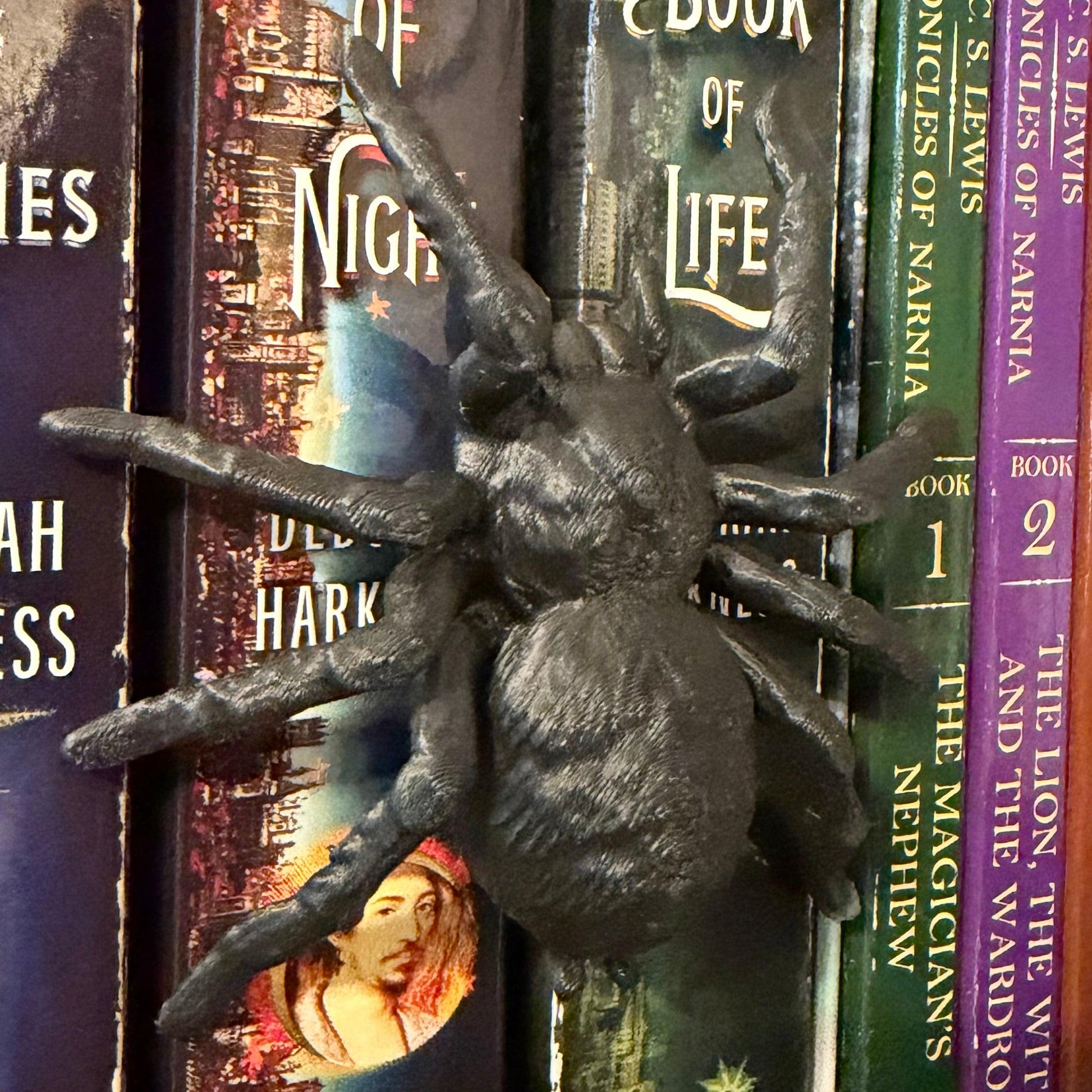 Gothic Tarantula Spider Book Spine Hugger