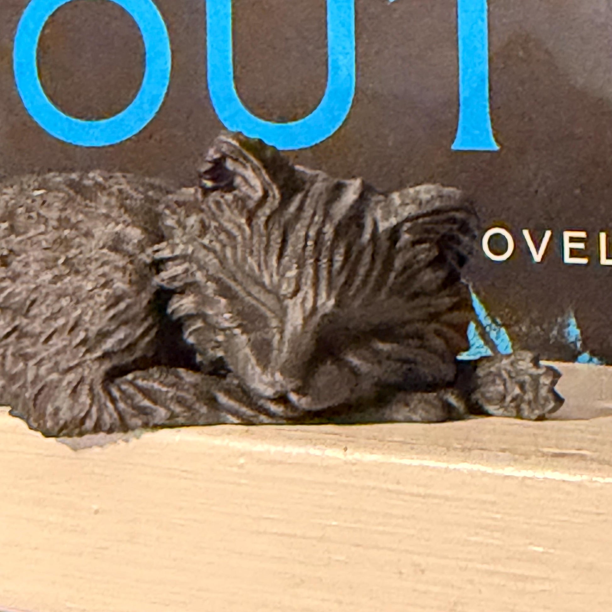 Sleeping Cat Perchling Shelf Sitter | Witch Familiar Library Decor | Bookish Pet