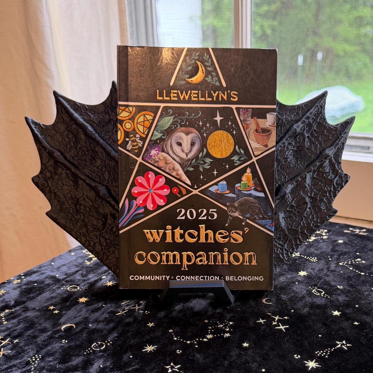 Wing Book Display | Bat Wings | Dragon Wings | Fantasy Bookshelf Home Decor