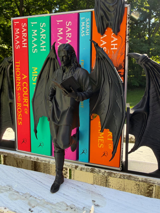 ACOTAR Inspired Bat Boy Figurine | Night Court Bookshelf Decor | Book Boyfriend Statue