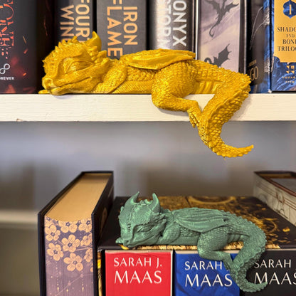 Sleeping baby dragon in small and medium.