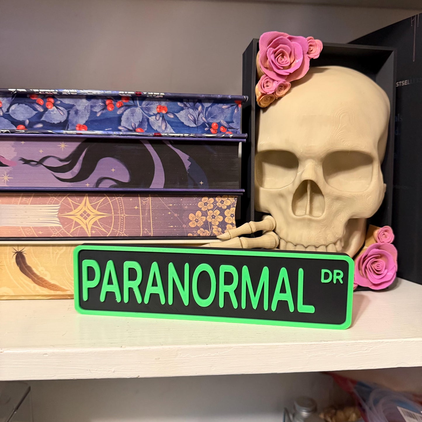 Paranormal Dr Street Sign Shelf Sitter | Supernatural Bookshelf Decor | Bookish Desk Nameplate