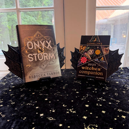Wing Book Display | Bat Wings | Dragon Wings | Fantasy Bookshelf Home Decor