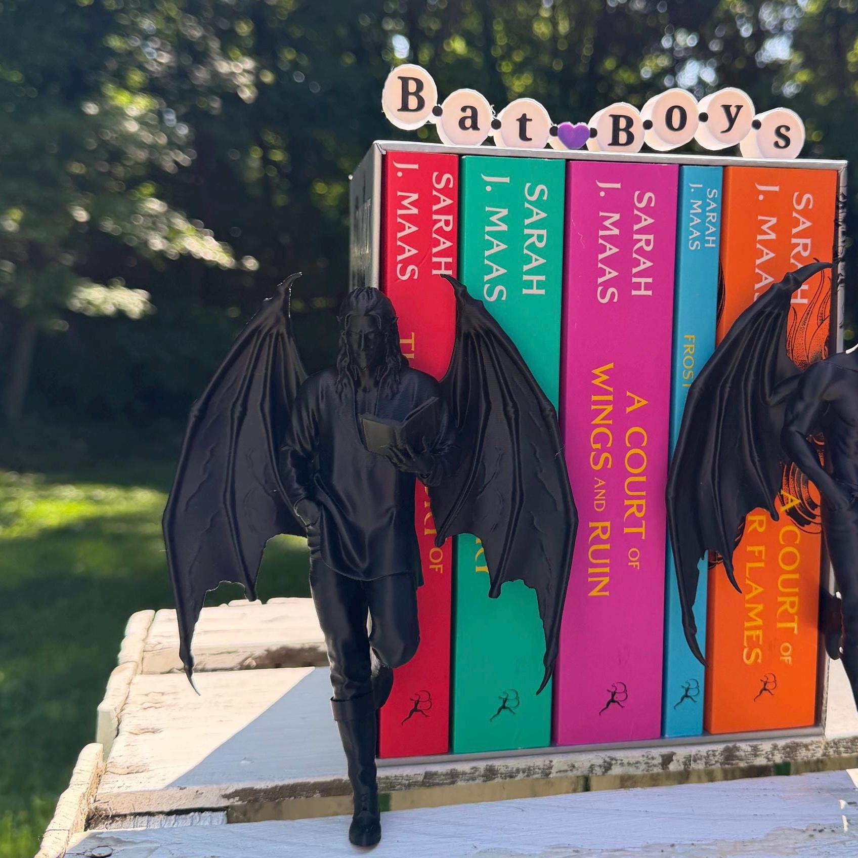 ACOTAR Inspired Bat Boy Figurine | Night Court Bookshelf Decor | Book Boyfriend Statue