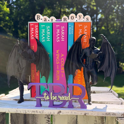 ACOTAR Inspired Bat Boy Figurine | Night Court Bookshelf Decor | Book Boyfriend Statue