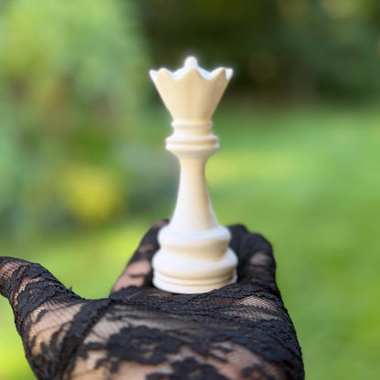 Chess Piece Set | Vampire Fiction Inspired Decor | Dark Romance Shelf Display | Gothic Bookshelf Accent | Book Cover Replica Set
