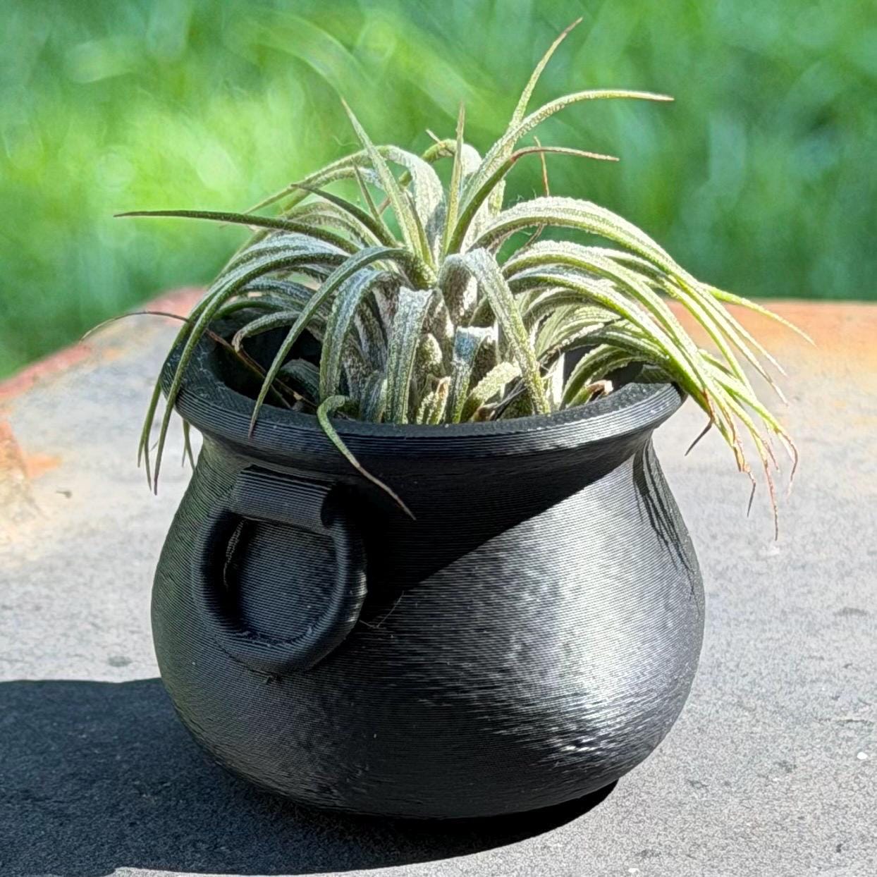 Witch Cauldron | Tealight Holder | Air Plant Pot | Witchy Halloween | Gothic Home Decor