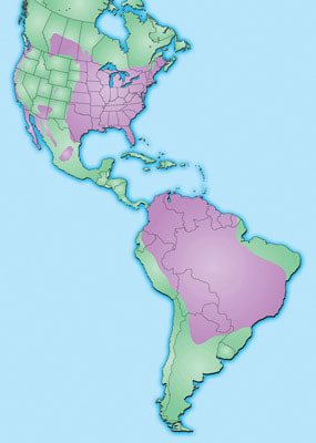 Map showing the migration route of purple martins from North America to South America.