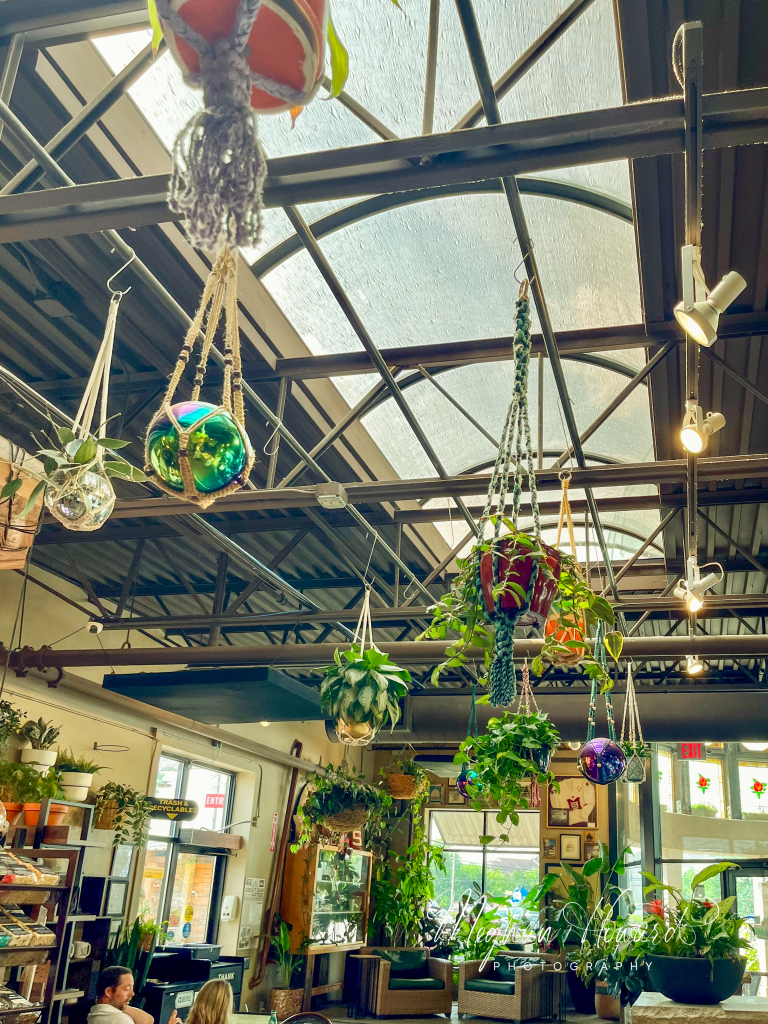 Interior of Blüm Coffee Garden in Milwaukee, featuring skylights, hanging plants, and a cozy café atmosphere.