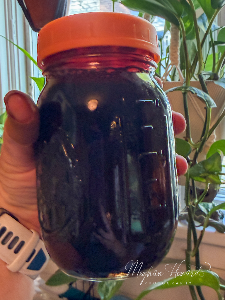 Hand holding a glass jar of dark homemade elderberry syrup near a window with plants in the background.