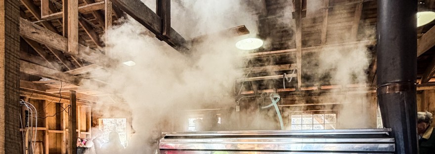Steam rising from maple sap evaporator inside the sugar shack at Malabar Farm Maple Syrup Festival